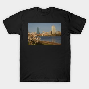 Boston Charles River on a Spring day T-Shirt